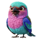 Imani